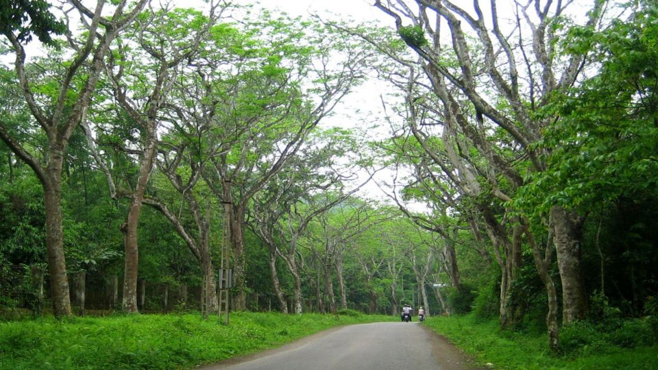 Private Day Tour: Cuc Phuong National Park from Hanoi - Scenic drive and park timing: why the day feels structured