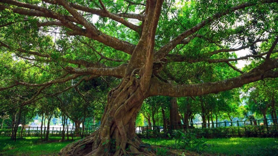 Private Day Tour: Cuc Phuong National Park from Hanoi - Price and value: $130 per person, and what you’re paying for