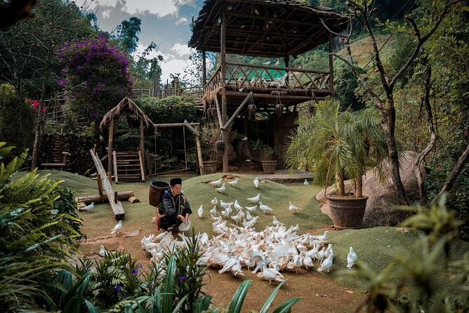 Private Full Day Tour in Sapa by Car - Cat Cat Village: stilt houses, H’mong life, and the tourist factor