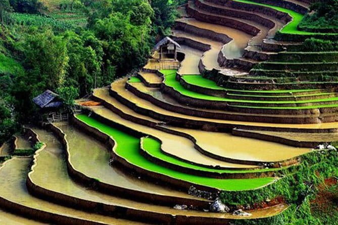 Private Full-Day Tour to Halong Bay from Hanoi - The pacing: how a 9–12 hour day feels in practice