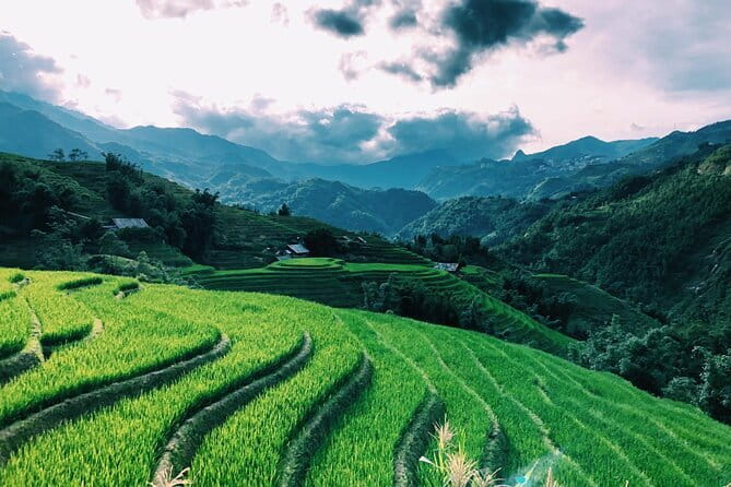 Private Half-Day Tour of Villages, Terrace Rice Fields by Car - Meeting at Saigonese Trekking House: start where the plan is easy