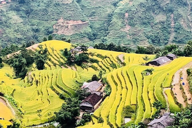 Private Half-Day Tour of Villages, Terrace Rice Fields by Car - Y Linh Ho and Lao Chai: quick hits that add variety