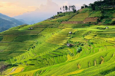 Private Half-Day Tour of Villages, Terrace Rice Fields by Car - Cat Cat Village: the best stop, plus the stair reality