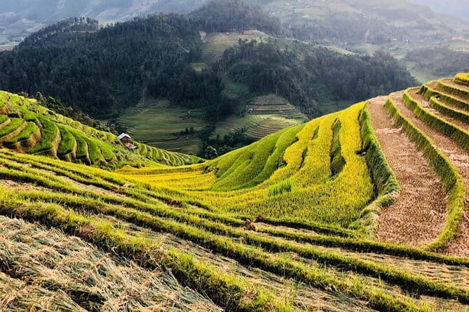 Private Half-Day Tour of Villages, Terrace Rice Fields by Car - Who should book this tour?