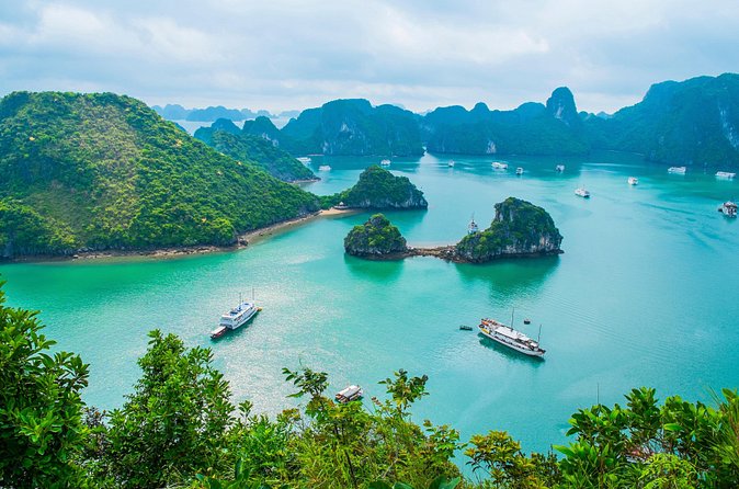 Private Halong Bay Sailing Cruise from Hanoi - Seafood lunch onboard: what it means for value and timing