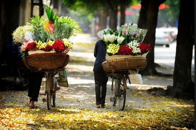 Private Hanoi City Shore Excursion from Ha Long Cruise Port - Vietnamese Traditional Lunch: Included, and Often the Best Value Moment