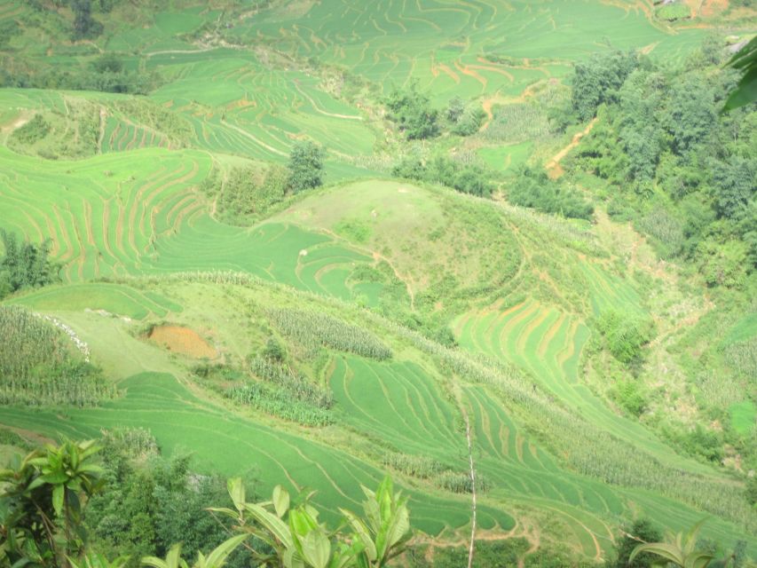 Private Hoang Lien National Park & Tribal Village Trek - Should you book the Private Hoang Lien & Tribal Village Trek?