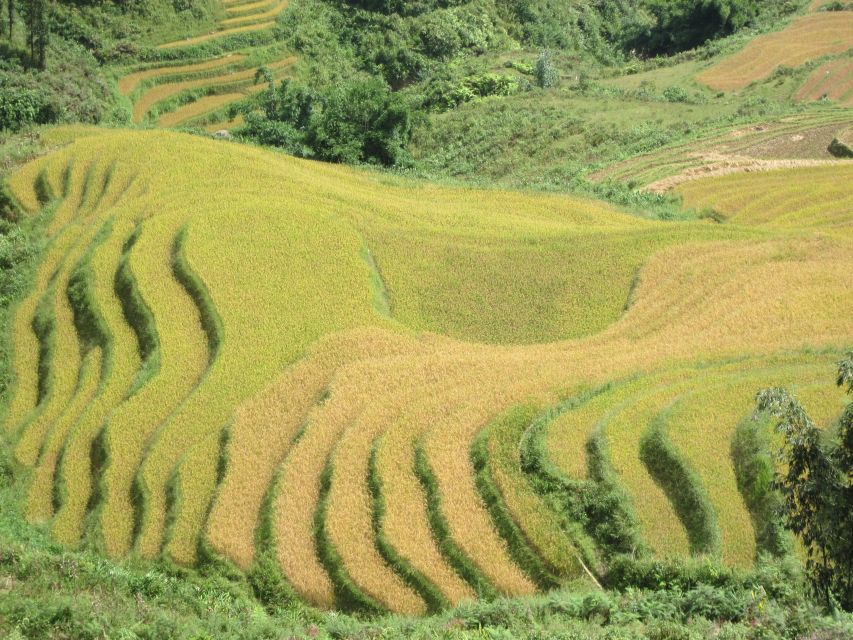 Private Hoang Lien National Park & Tribal Village Trek - FAQ
