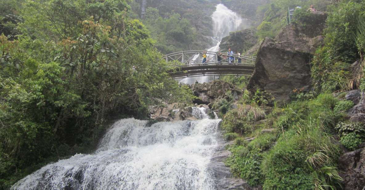 Private Hoang Lien National Park & Tribal Village Trek - The 10km bamboo-forest trek: what it feels like in the real world