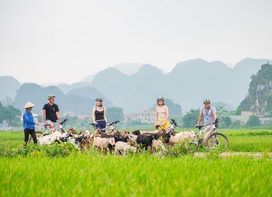 Private Luxury 1 Day Trip: Hoa Lu, Tam Coc, Mua Cave, Biking - From Hoàn Kiếm to Ninh Binh: how the day actually runs