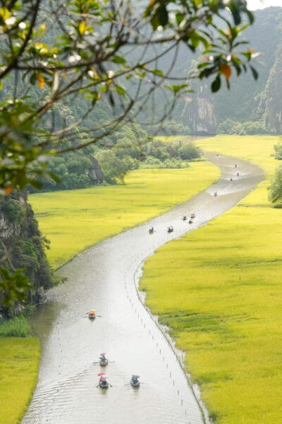 Private Luxury 1 Day Trip: Hoa Lu, Tam Coc, Mua Cave, Biking - Tam Coc boat ride on the Ngo Dong River (the scenic center)