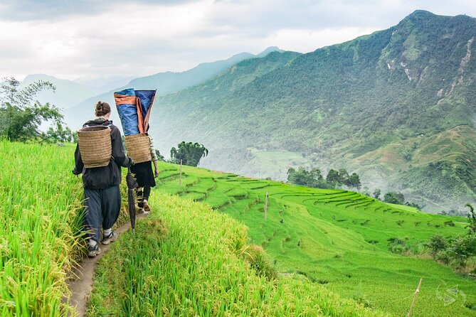 Private Tour Experience from Sapa Town to Cat Cat Village - Cat Cat Village: seeing why it’s famous (and what it’s not)