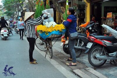 Private tour - Hanoi old quarter cyclo tour (2 hours) - Old Quarter street show: what you’ll actually see on the ride