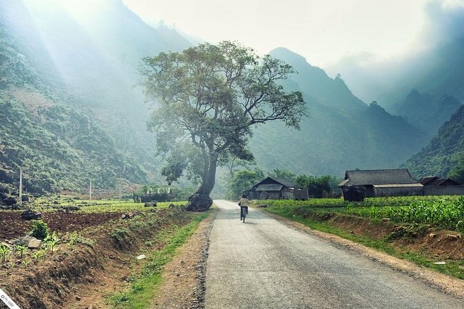 Private Transfer Between Lao Cai Train Station and Sapa Town - Pickup Power: How You Get From the Station to Your Car Without Chaos