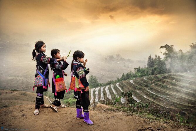 Private Transfer One Way From HANOI > SAPA - Key Points You’ll Care About