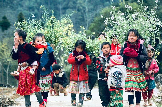 Private Transfer One Way From HANOI > SAPA - Private Hanoi to Sapa: What Makes This Transfer Worth It