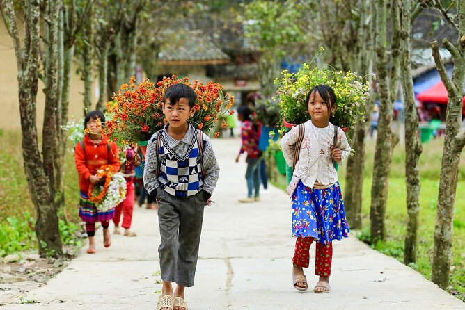 Private Transfer One Way From HANOI > SAPA - Pickup From Your Hotel in Hanoi: Less Hassle, More Day Left