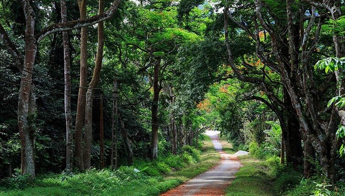 Private Transfers Full Day Hanoi - Ba Vi National Park - Hanoi - A Stress-Free Route to Ba Vi From Central Hanoi