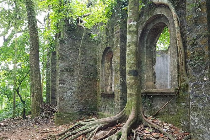 Private Transfers Full Day Hanoi - Ba Vi National Park - Hanoi - What’s Included (and What Costs Extra) so You Don’t Get Surprised