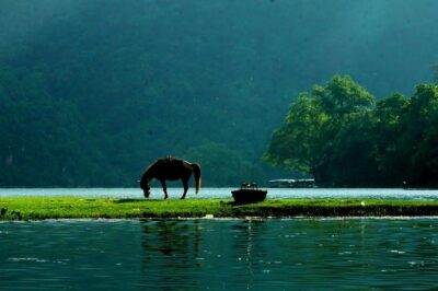 Private transfers HALONG <=> SAPA One Way (Free Hotel Pickup) - Driver basics: licensed, insured, and not completely lost in translation