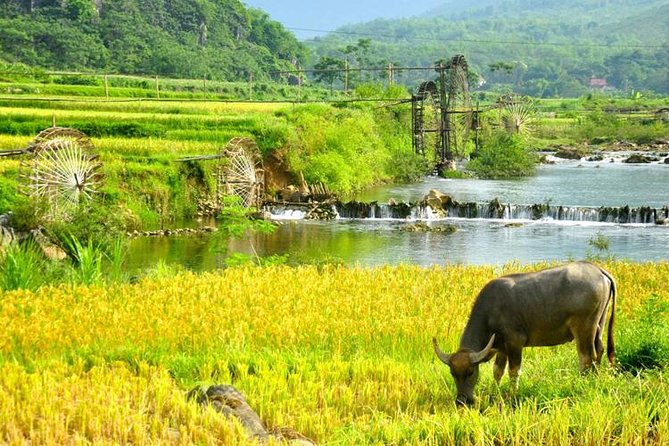 Private transfers Hanoi <=> Puluong 1 Way (Free Hotel Pickup) - Door-to-door Hanoi to Pu Luong: what private really means