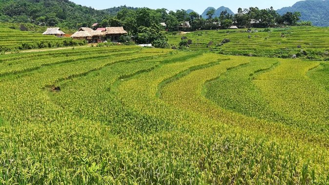 Private transfers Hanoi <=> Puluong 1 Way (Free Hotel Pickup) - Airport pickup at Noi Bai: the name-sign meet