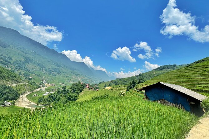 Private Trekking through Terraces Rice Fields in Sapa - Stop 1: Y Linh Ho Village and the Muong Hoa Terrace Views