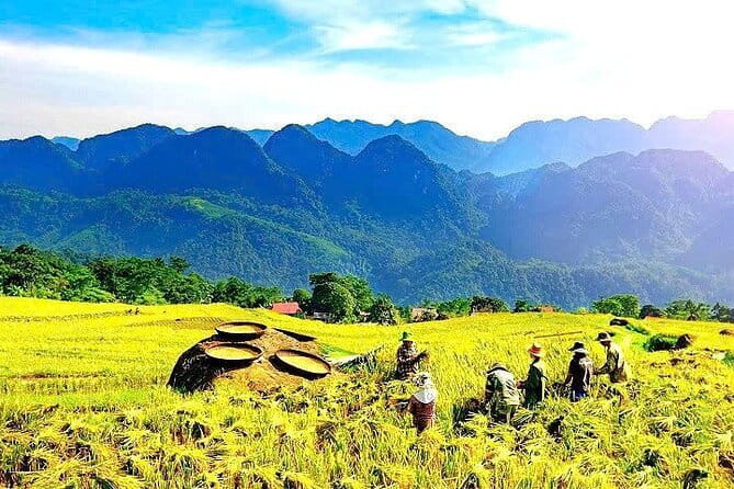 Pu Luong 2 Days Trekking & Village Experience with local Family - Day 1 in Pu Luong Nature Reserve: Rice Country Hikes and a Real Homestay Night