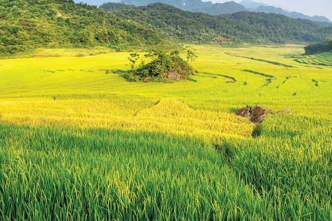 Pu Luong 3-Day Adventure: Trekking, Cycling & Local Cooking Class - Key highlights that make this Pu Luong tour click
