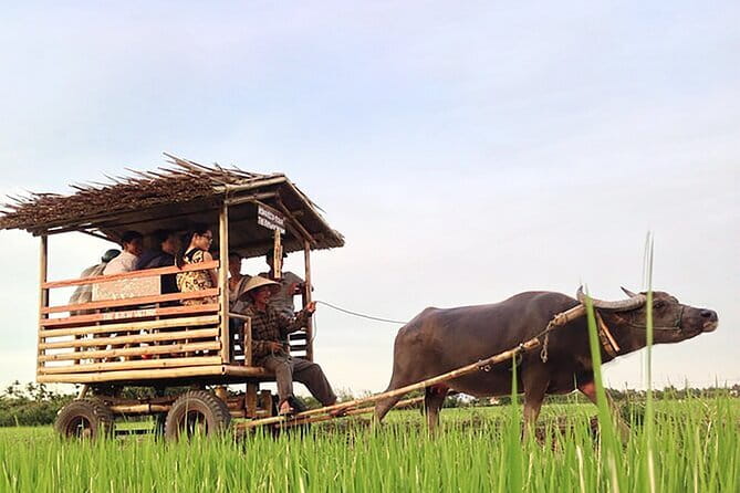 Pu Luong 3-Day Adventure: Trekking, Cycling & Local Cooking Class - Pu Luong in 3 days: what you’re really signing up for