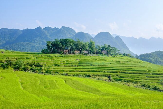 Pu Luong 3-Day Adventure: Trekking, Cycling & Local Cooking Class - Day 2 later: buffalo cart country roads, Chieu Lau waterwheels, and farm methods
