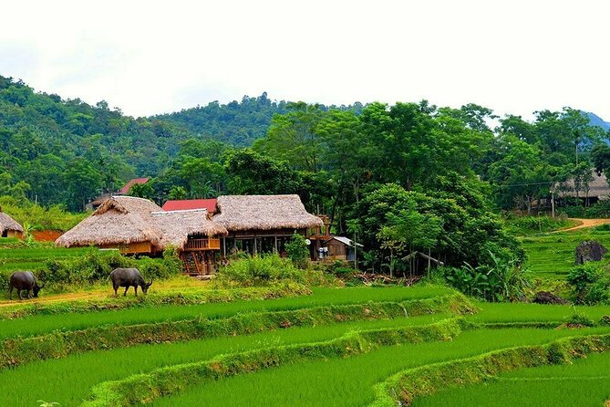 Pu Luong Nature Reserve 2 Days 1 Night Tour from Hanoi - Your home for the night: dorm or deluxe at the eco-resort
