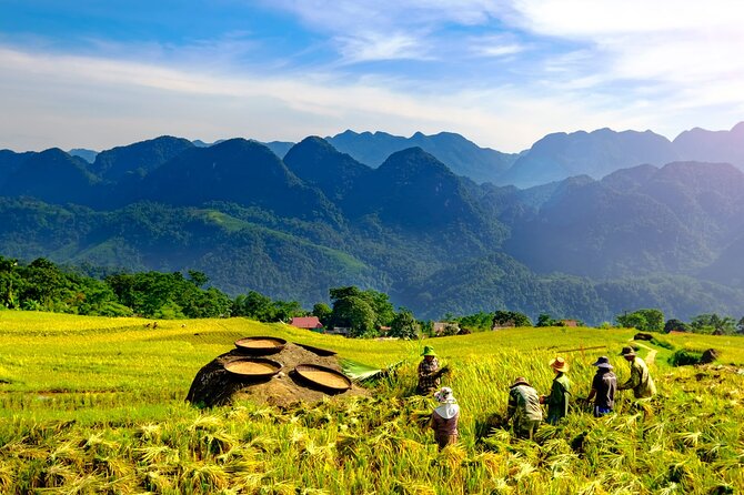 Pu Luong Private Day Tour from Hanoi – Biking & Rafting - The afternoon route: rice terraces at Bản Đôn and Chom Lan/Uoi hamlet views
