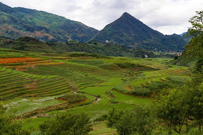 Red Dao village trek and Herbal bath - Ta Phin Village trek: why this feels different in Sapa