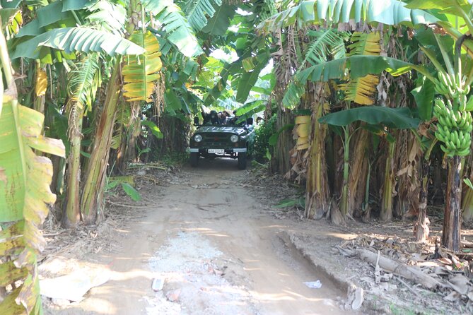 Red River Delta Countryside+ Rural Villages, rice Paddies fields - Why a Vespa + open-air jeep mix works so well in Hanoi