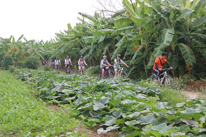 Red River island backroad, Rural Countyside Area and Train Street - The ride itself: pace, comfort, and how to enjoy it without rushing