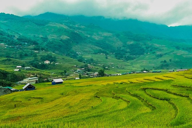 Rice Terraced Fields & Homestay Experience– 2D 1N - The Real-World Considerations: Paved Roads, Traffic, and Mixed Group Density