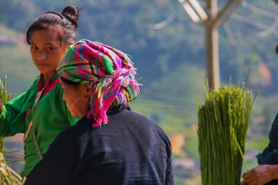 Rice Terraced Fields & Homestay Experience– 2D 1N - Getting There: 9:00am Start, Pickup at Sapa Church, and How the Small Pace Works