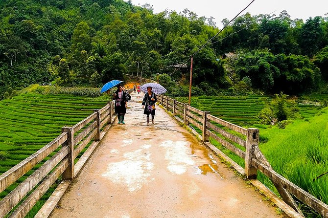 Rice Terraced Fields & Homestay Experience– 2D 1N - What to Pack and How to Pace Yourself (Moderate Fitness Means Smart Choices)