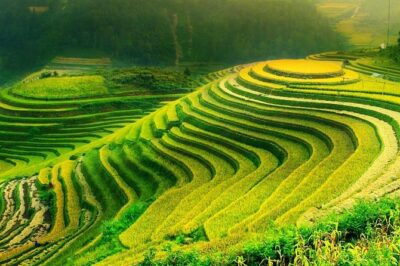 Sa Pa 2-Day Moderate Trek and Homestay Limousine Tour from Hanoi - Day 1: Sapa town arrival and time in Ta Van Village area