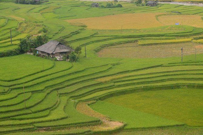 Sa Pa 2-Day Moderate Trek and Homestay Limousine Tour from Hanoi - The two real issues to plan around: shared limousine and craft sales