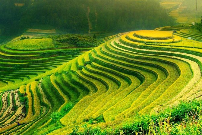 Sa Pa 2-Day Moderate Trek and Homestay Limousine Tour from Hanoi - Day 1: Sapa town arrival and time in Ta Van Village area