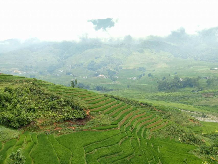 Sa Pa: 2-Day Trekking Trip with Ethnic Minority Homestay - Who should book this (and who should skip it)