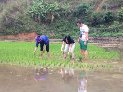Sa Pa: 6-Hours Muong Hoa Valley Trek with Local Ethnic guide - Lao Chai and the terrace views: where the scenery gets serious