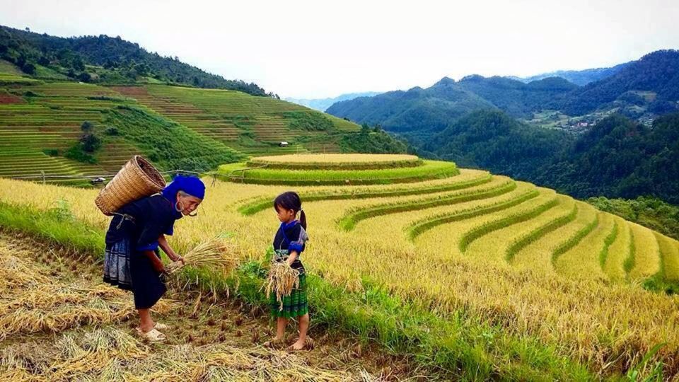 Sa Pa: 6-Hours Muong Hoa Valley Trek with Local Ethnic guide - Meeting the Dzay tribe: costume and custom contrasts on the same route