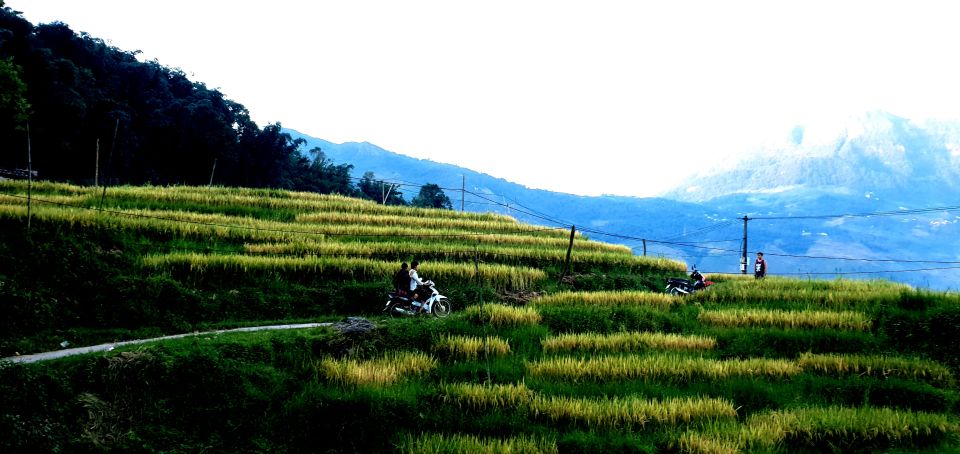 Sa Pa: Guided Motorbike Tour to Ethnic Villages with Lunch - Red Dao encounters and cultural context you can actually use