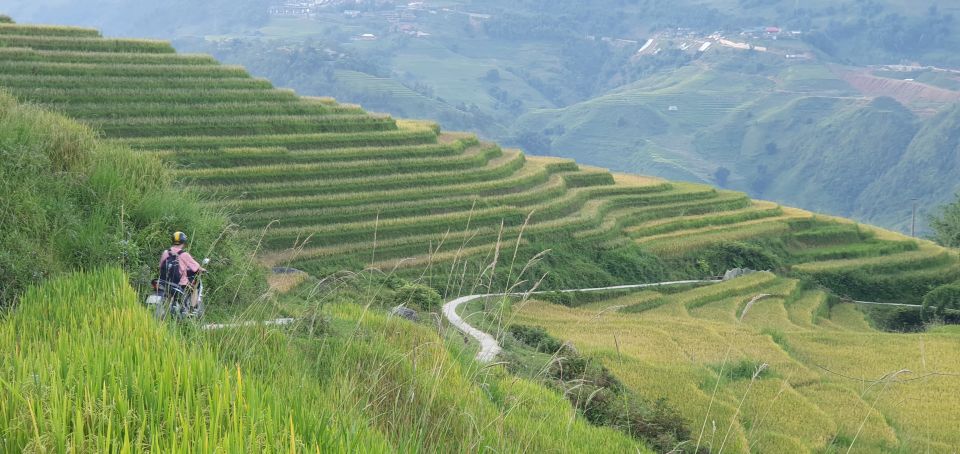 Sa Pa: Guided Motorbike Tour to Ethnic Villages with Lunch - Muong Hoa Valley terraces: riding deeper and seeing rice fields change