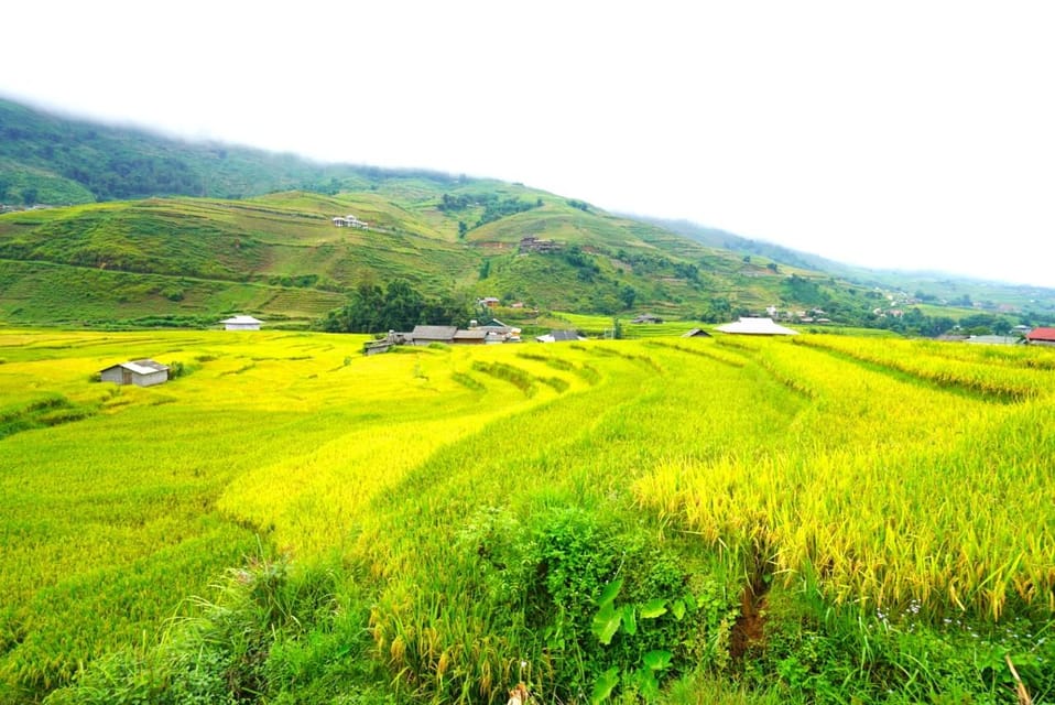Sa Pa: Half-Day Cat Cat Village Hike to Meet H'mong People - What to bring so your afternoon feels easy