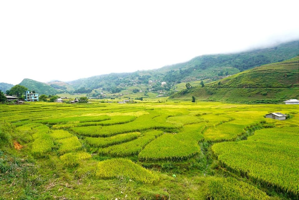 Sa Pa: Half-Day Cat Cat Village Hike to Meet H'mong People - Guide style and small-group pacing
