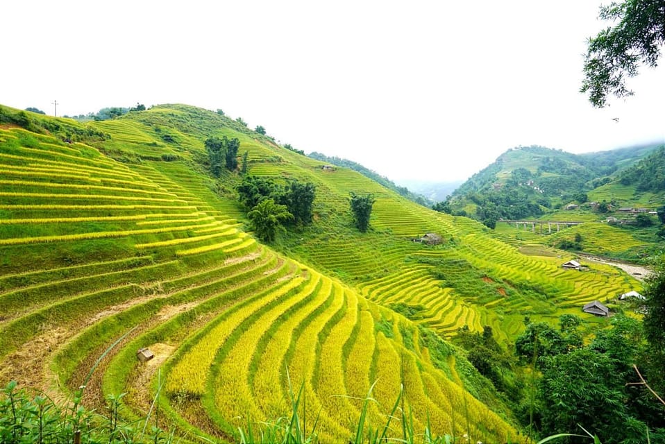 Sa Pa: Half-Day Cat Cat Village Hike to Meet H'mong People - Things to watch for: when expectations don’t match the hike